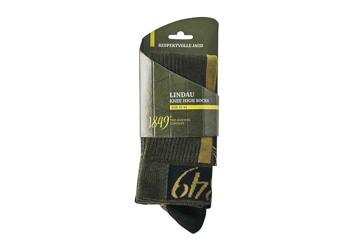 Lindau Socken