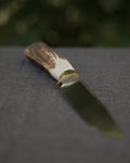 voll.wild Bergjagdmesser