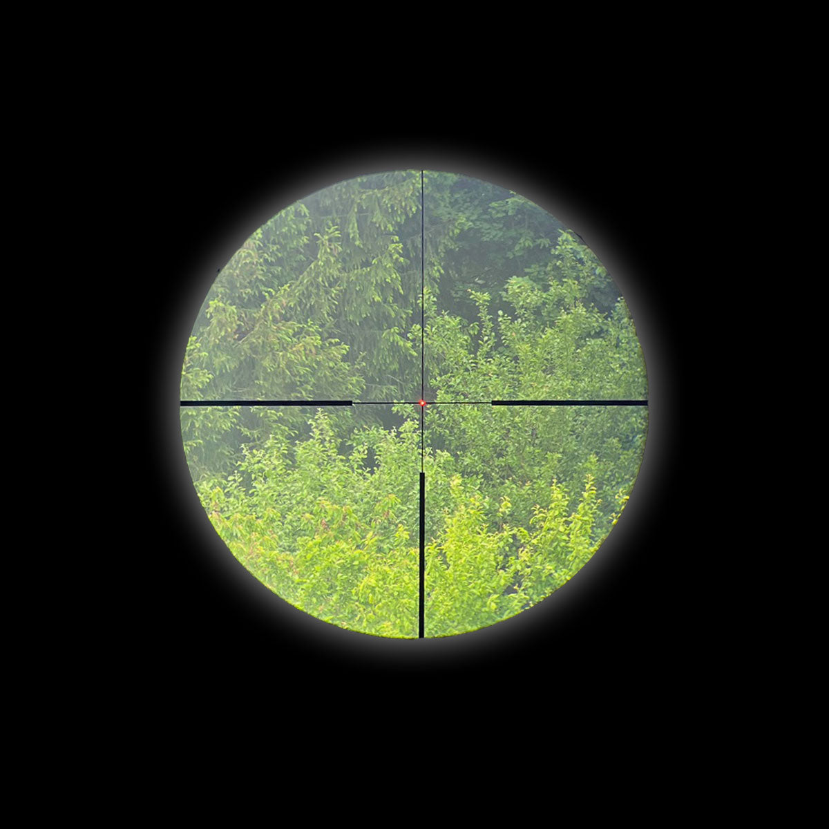 Professor Optiken Ammersee - 2,5-15x56 HD V2, Leuchtfaser-Absehen 4